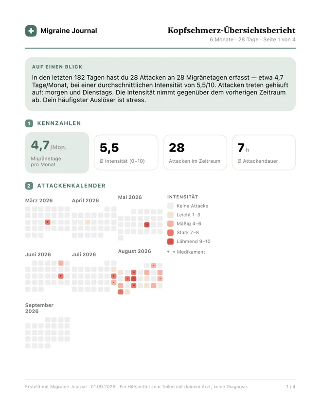 Seite eins des PDF-Berichts: eine Zusammenfassung, vier Kennzahlen, und sechs Monate Attacken als Kalender.