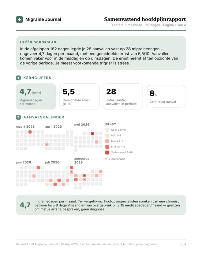 Pagina één van het pdf-rapport: een samenvatting, vier kerncijfers, en zes maanden aanvallen als kalender.